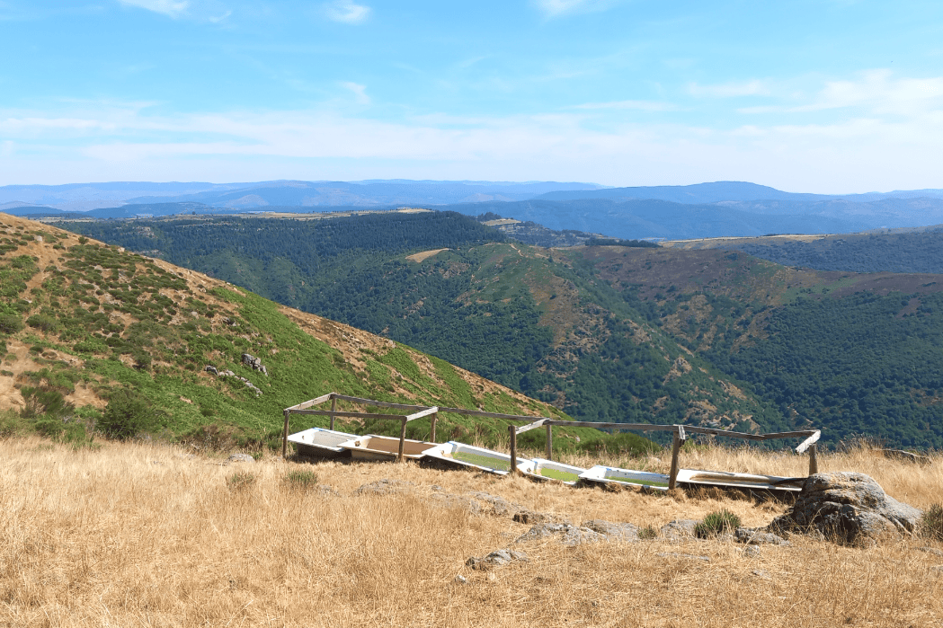 Paysage de Lozère au lever du soleil